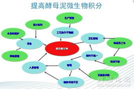 食品工廠清洗消毒有效運(yùn)行的關(guān)鍵路徑——從理論到實(shí)踐的質(zhì)控體系